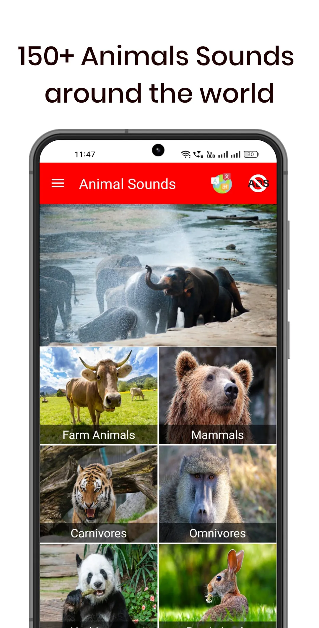150 Animal Sounds