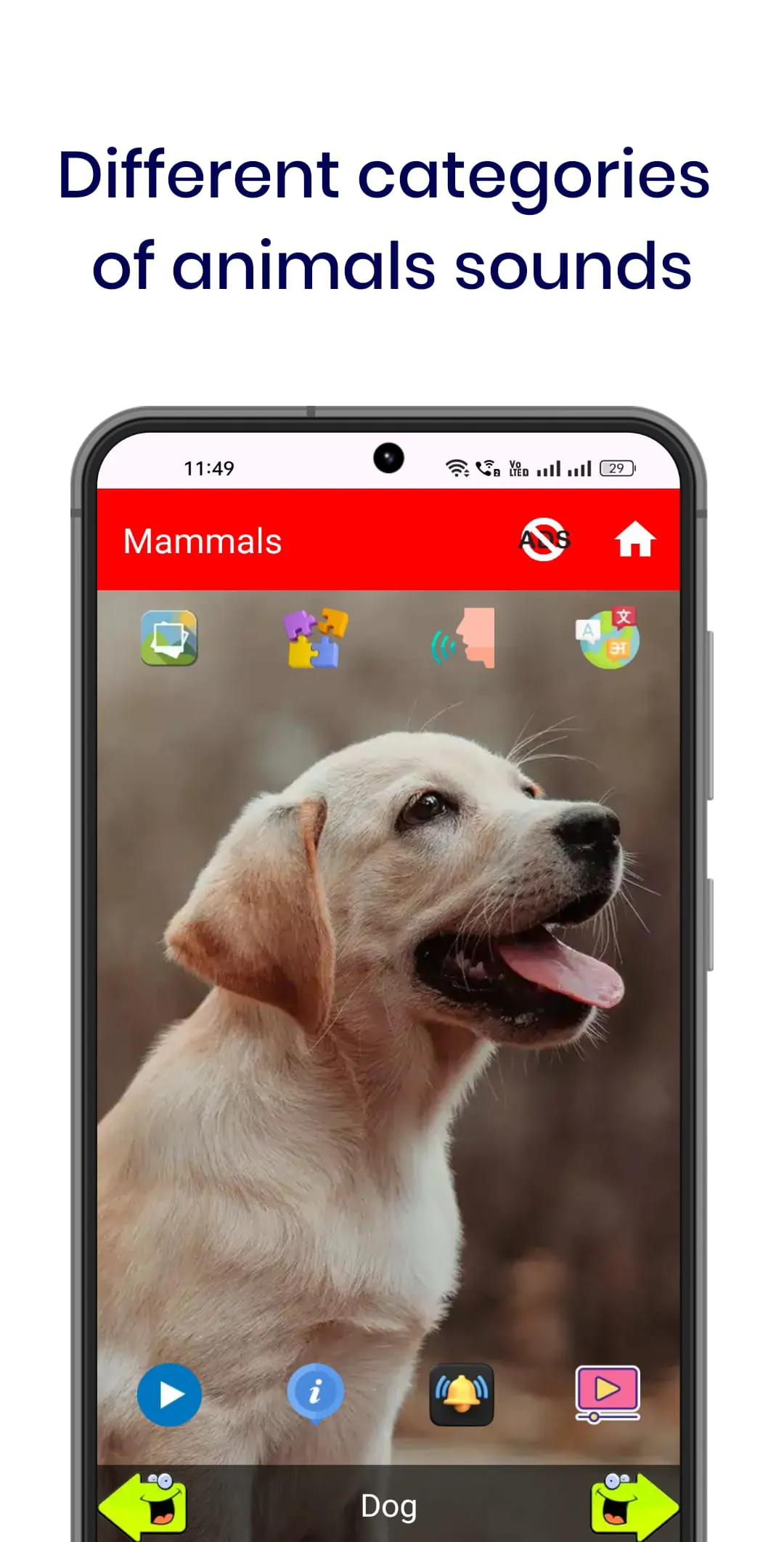 150 Animal Sounds