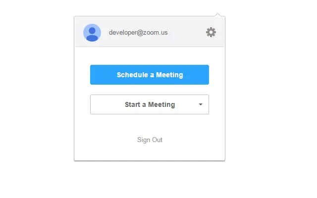 Zoom Chrome Extension