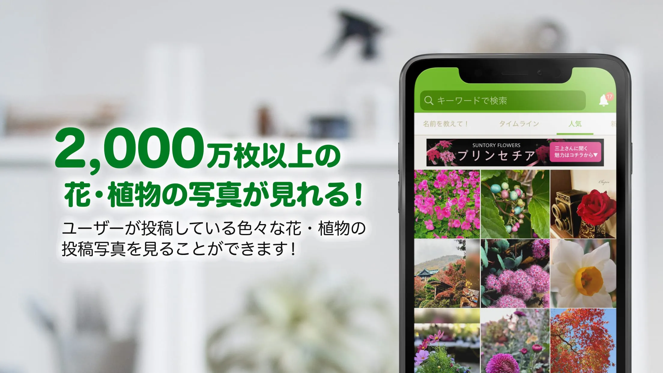 GreenSnap