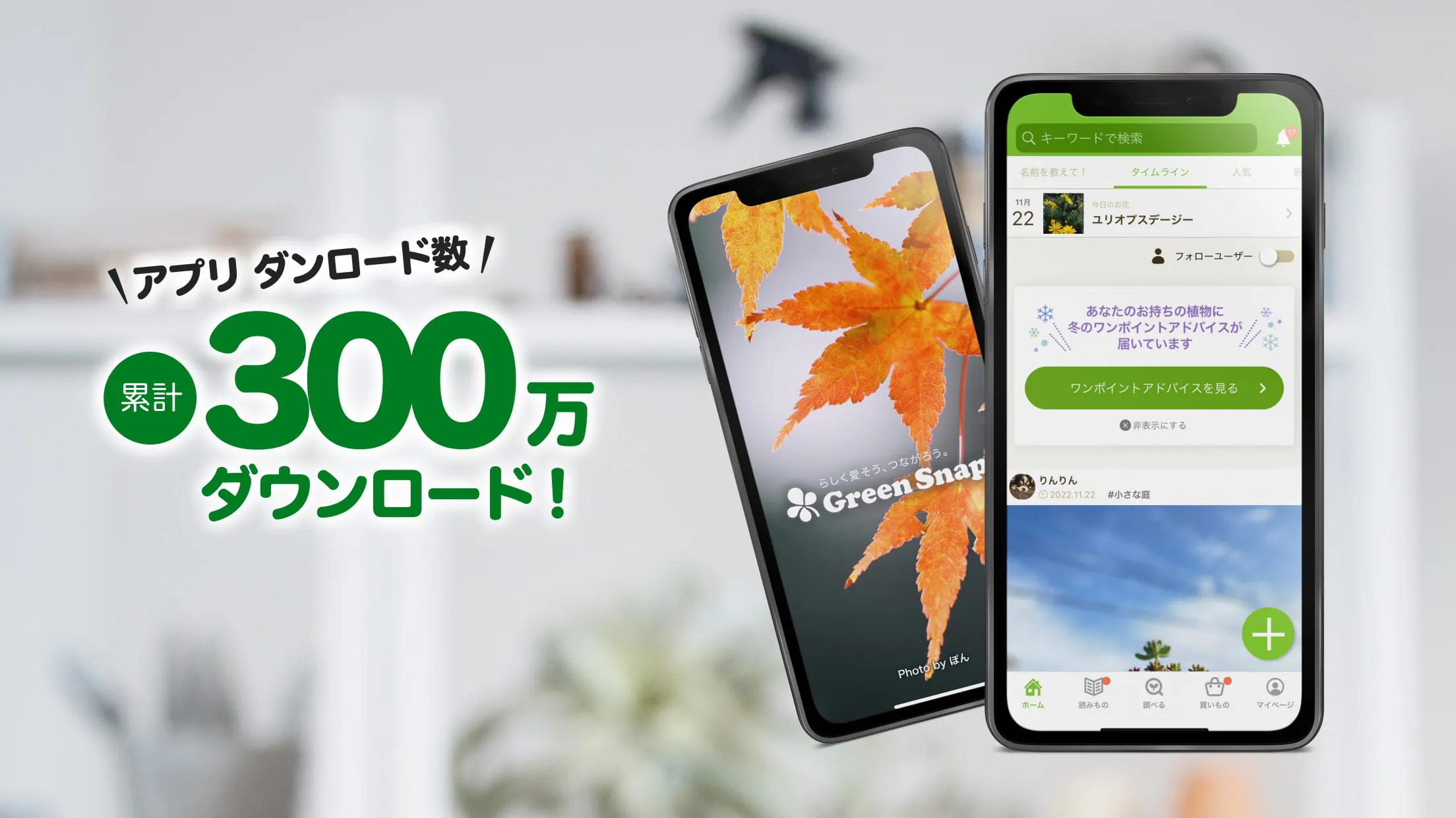 GreenSnap