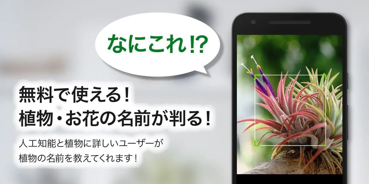 GreenSnap