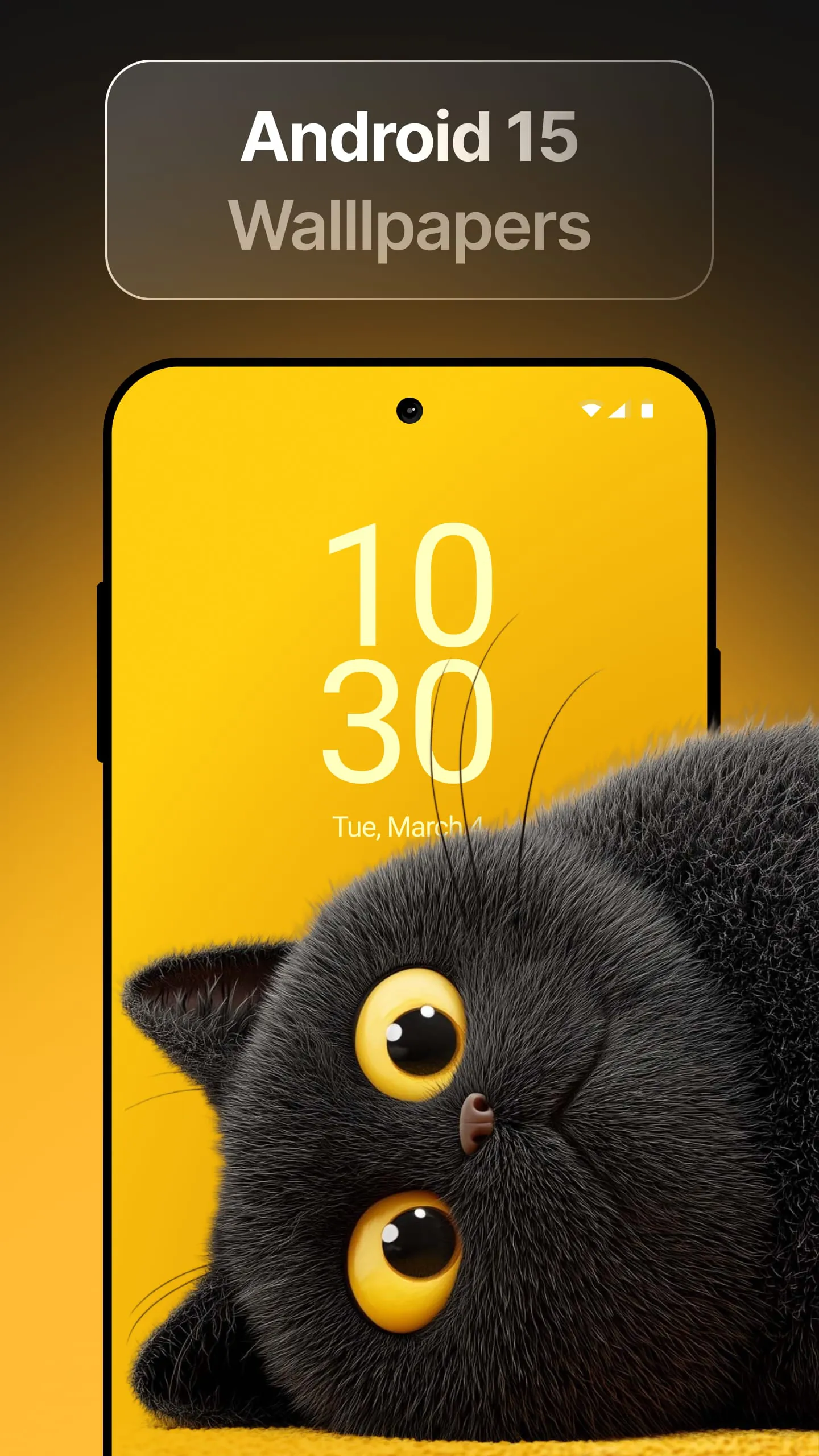 Wallpics