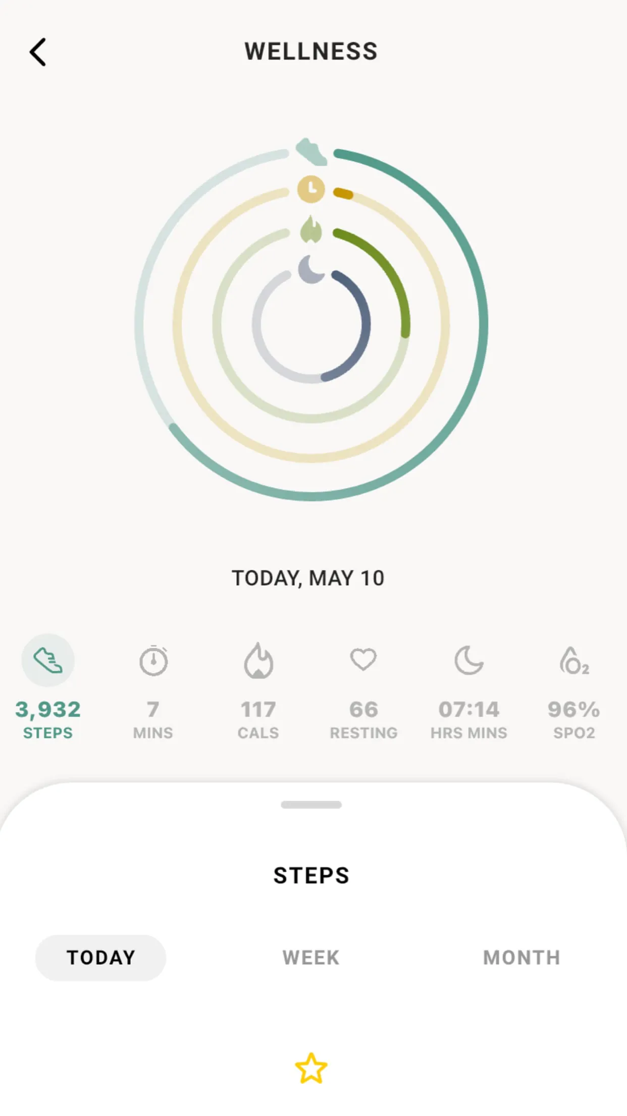 Skagen Smartwatches