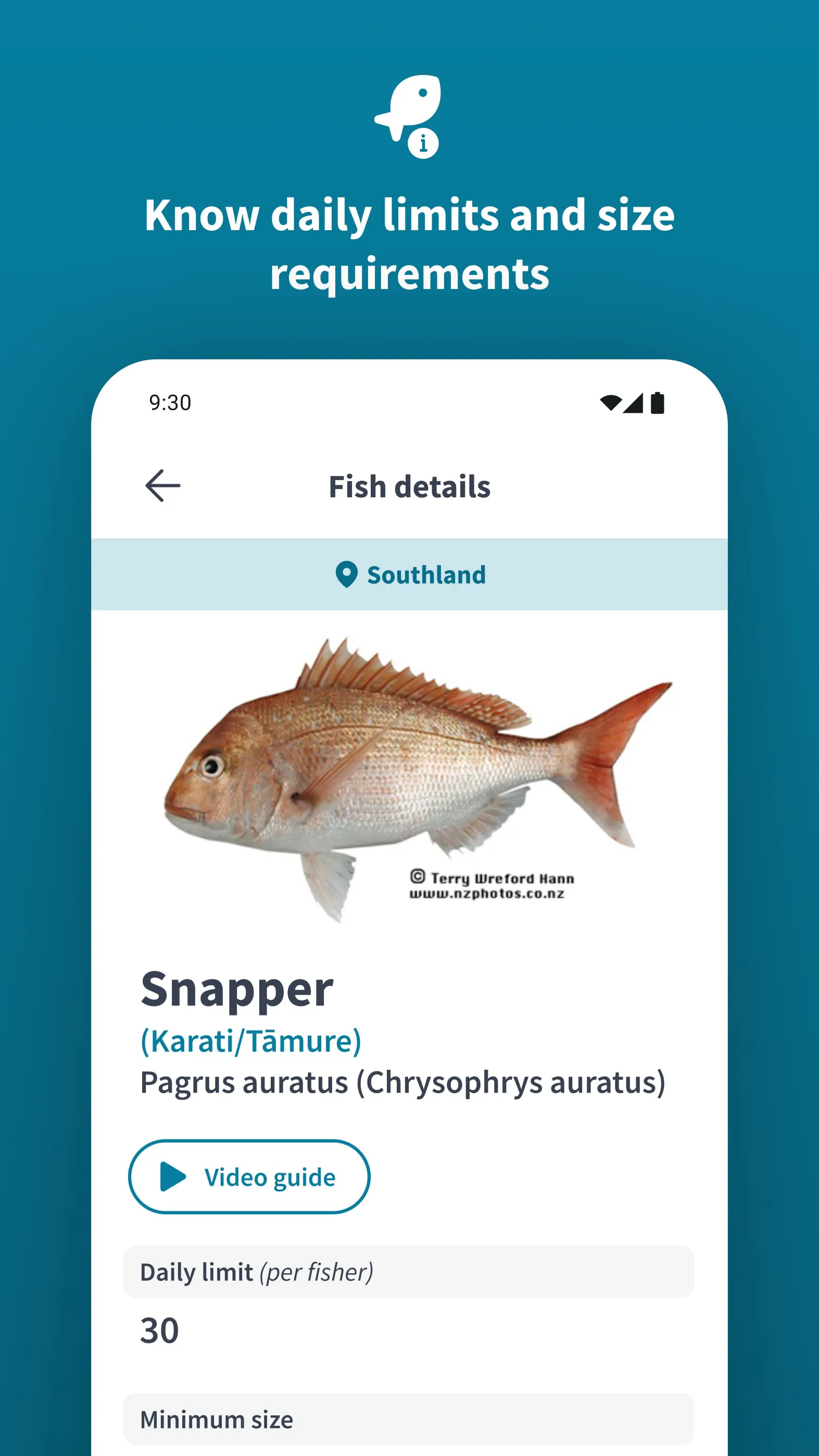 NZ Fishing Rules