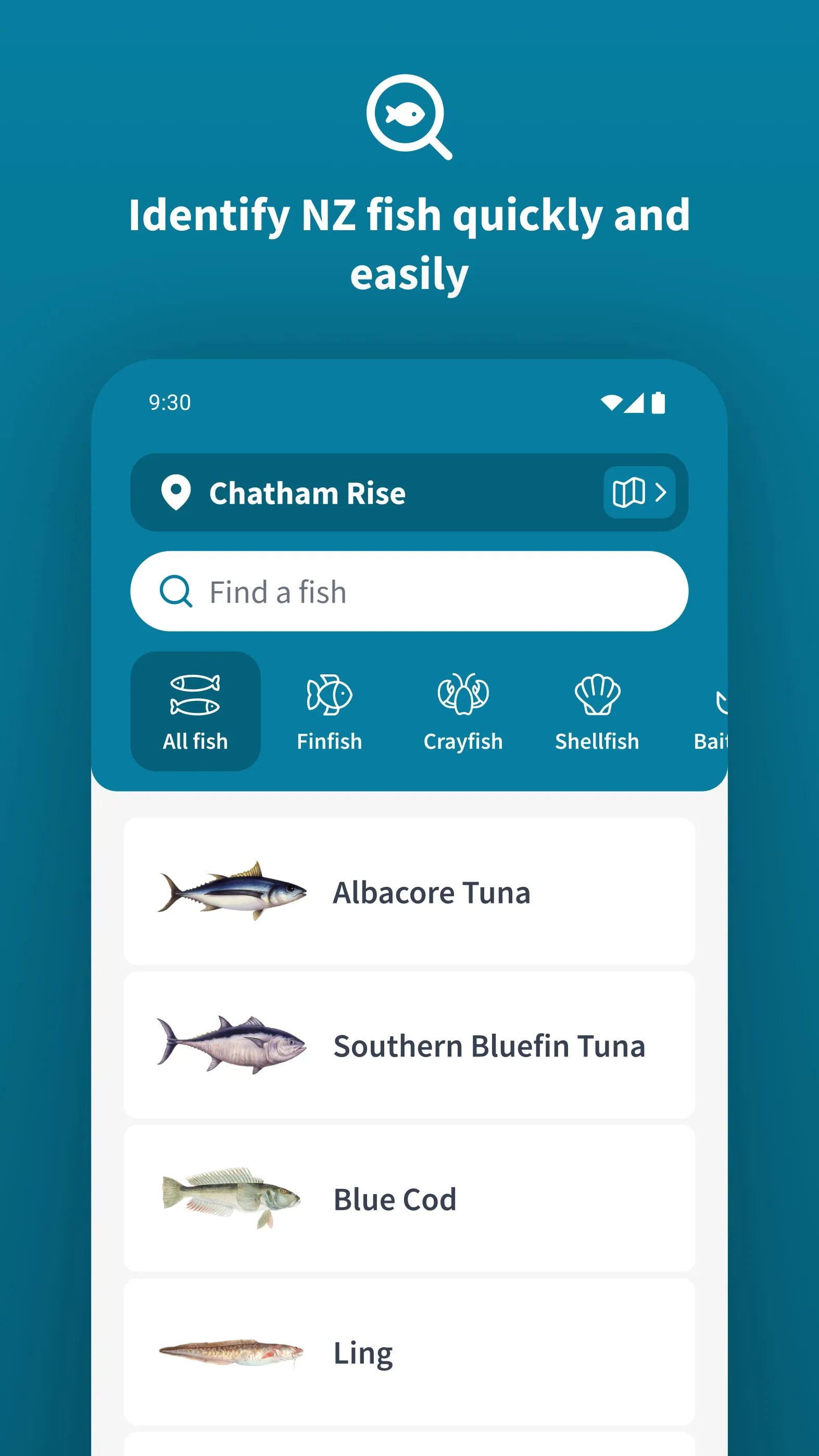 NZ Fishing Rules