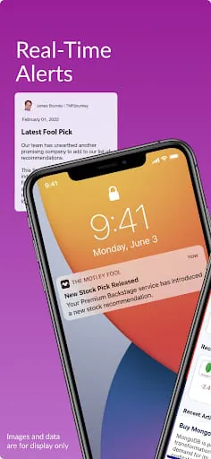 Motley Fool