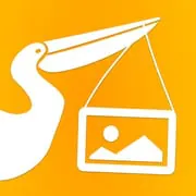 Pelipost