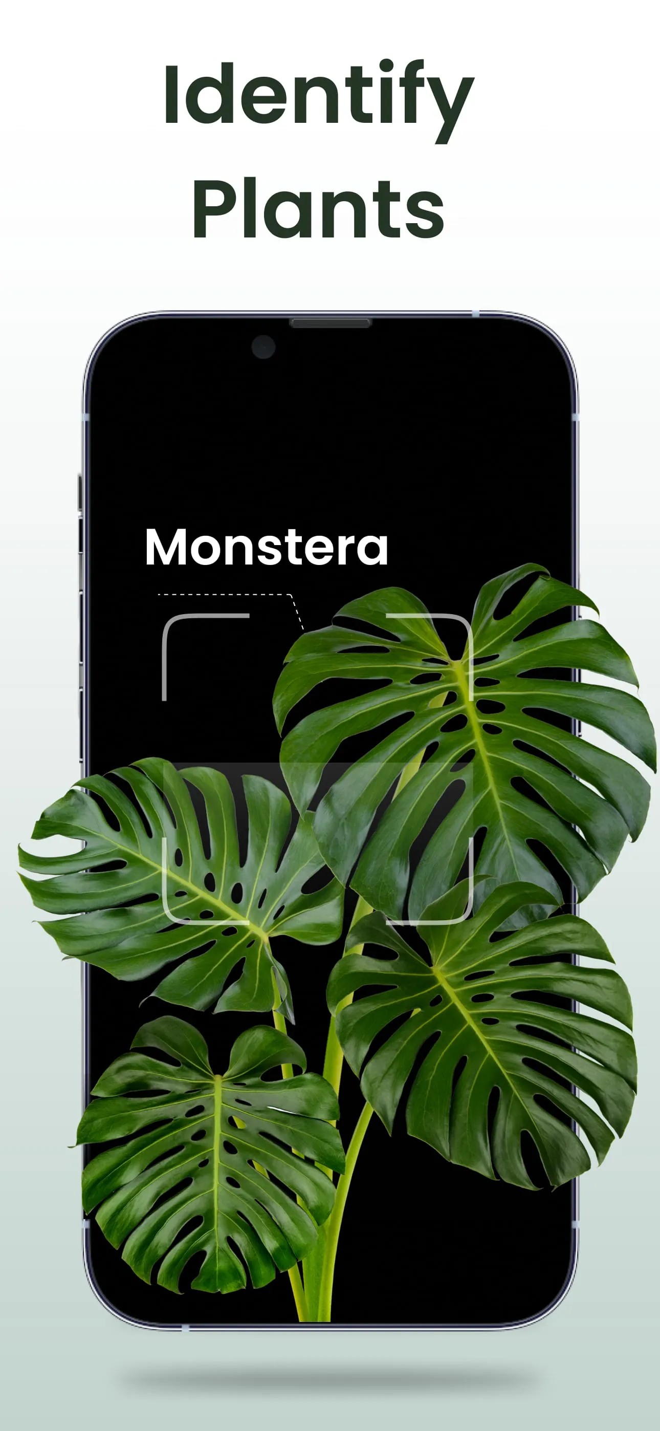 Plant Identifier