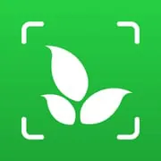 Plant Identifier