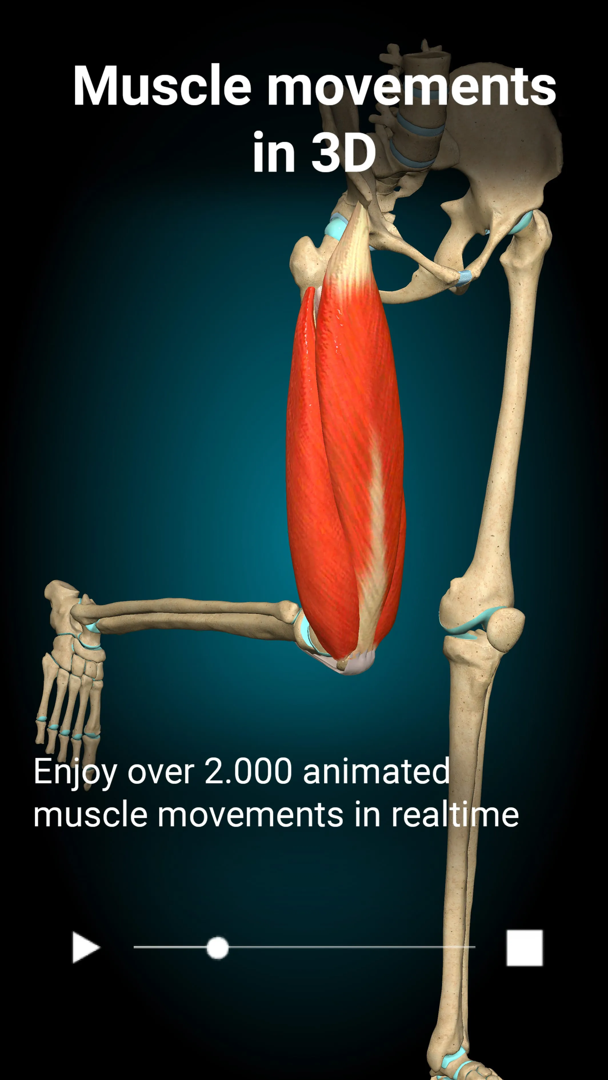 Anatomy Learning By Dr. Blanco