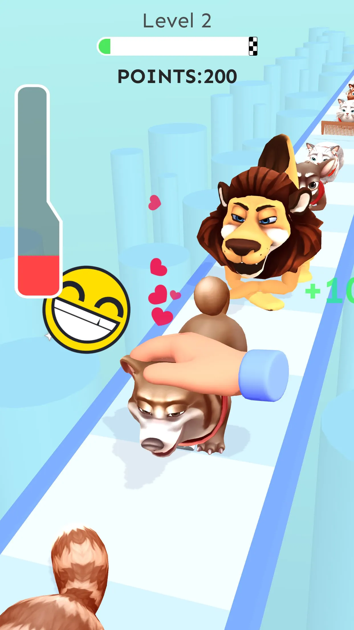Pet Care Runner