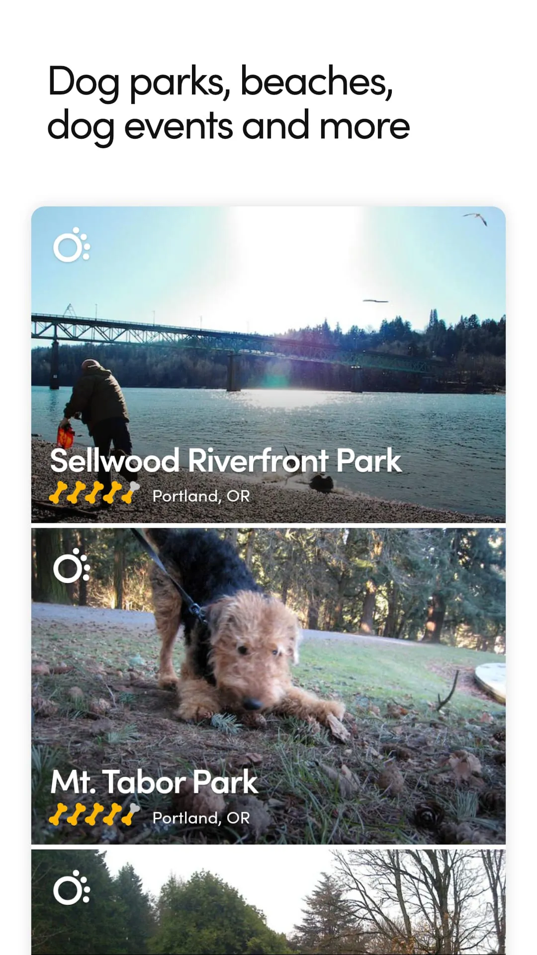 BringFido Pet Friendly Hotels