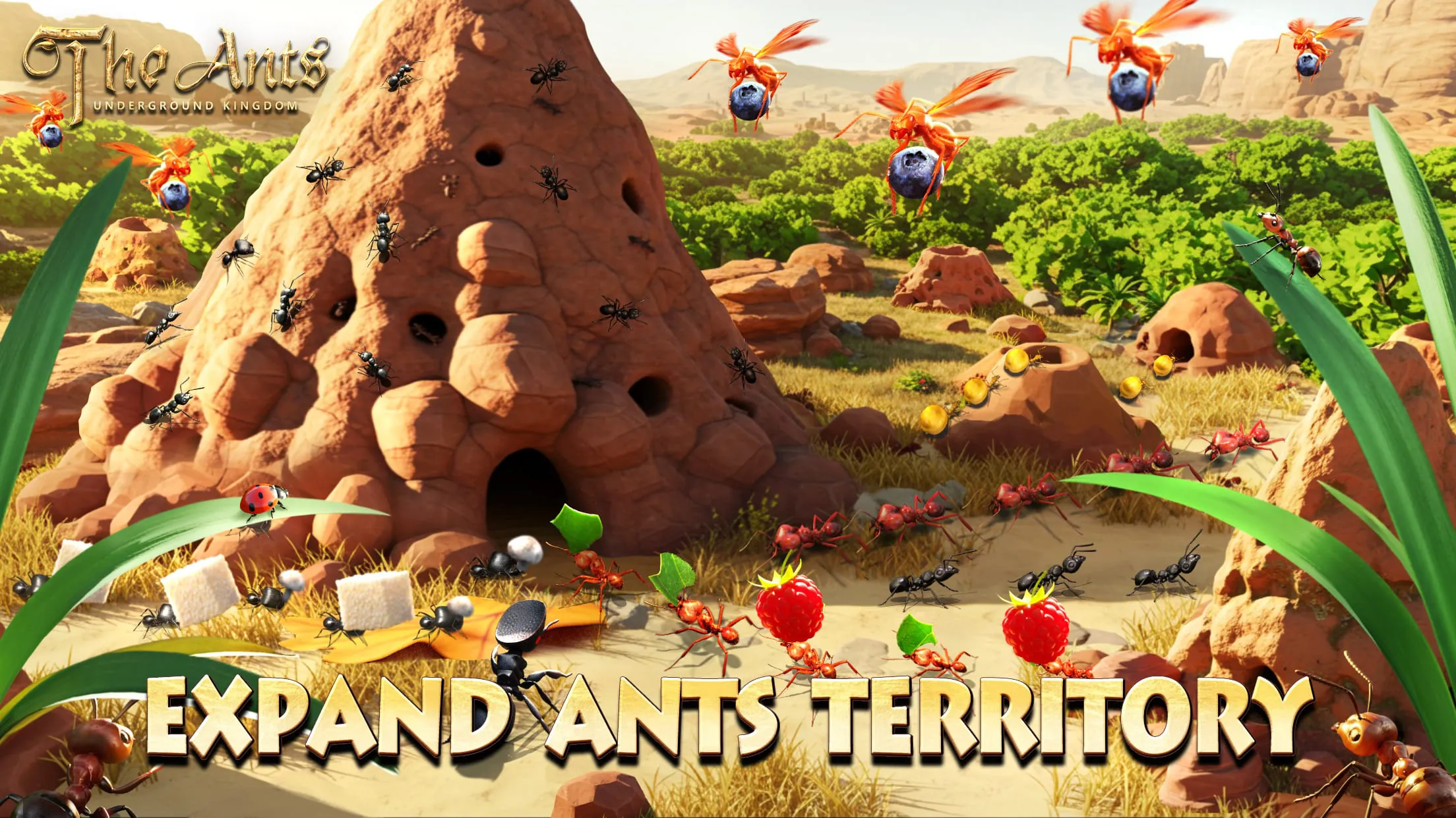 The Ants