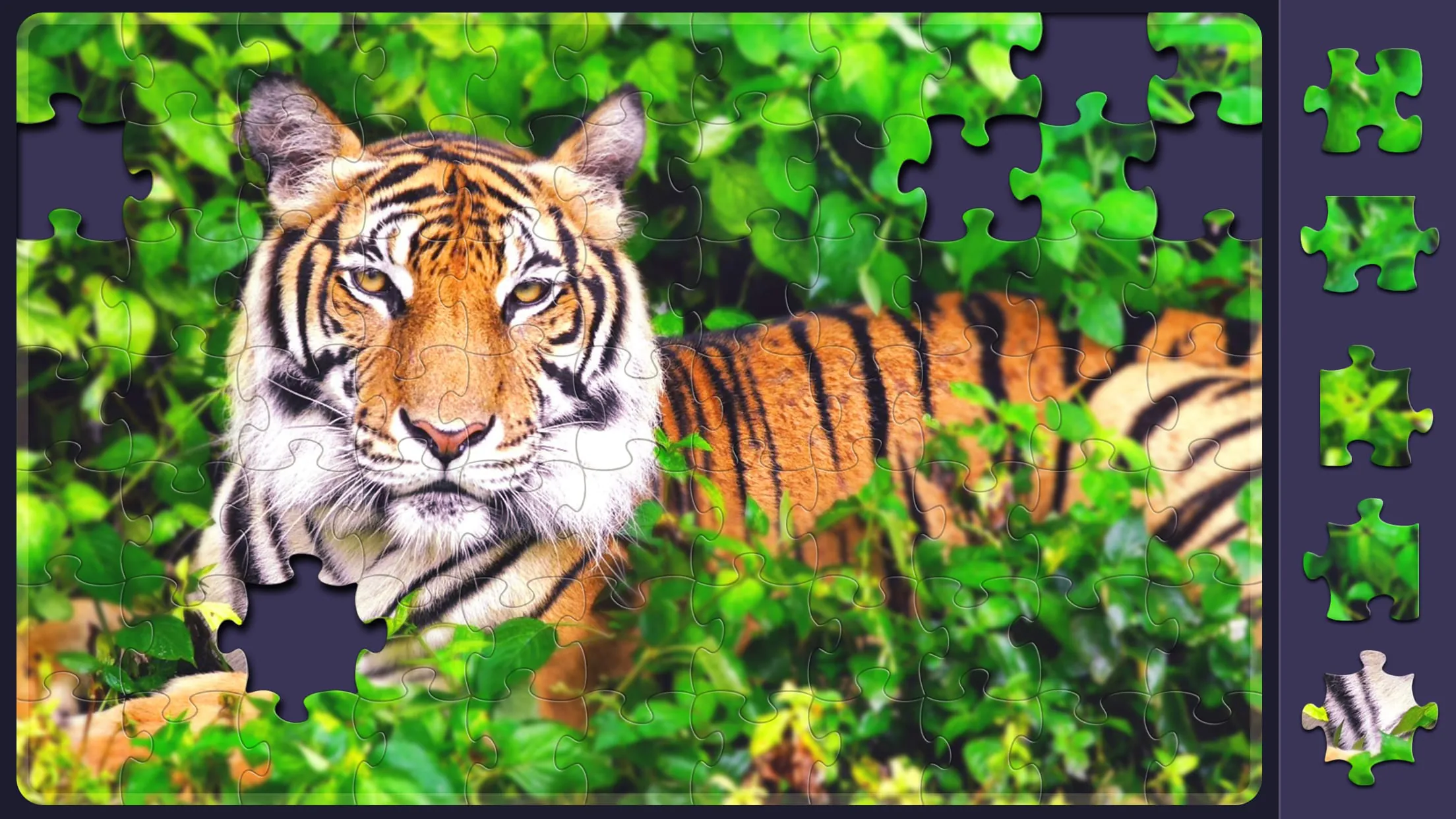 Relax Jigsaw Puzzle for Adults