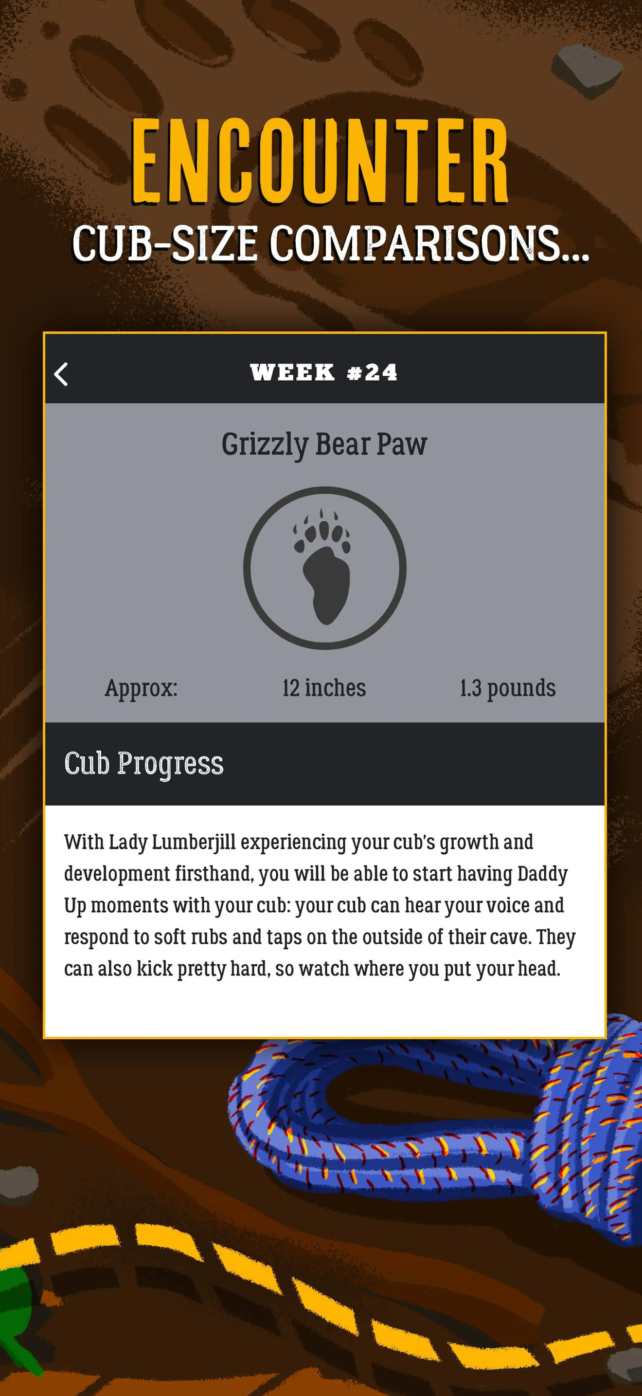Dad Pregnancy Guide