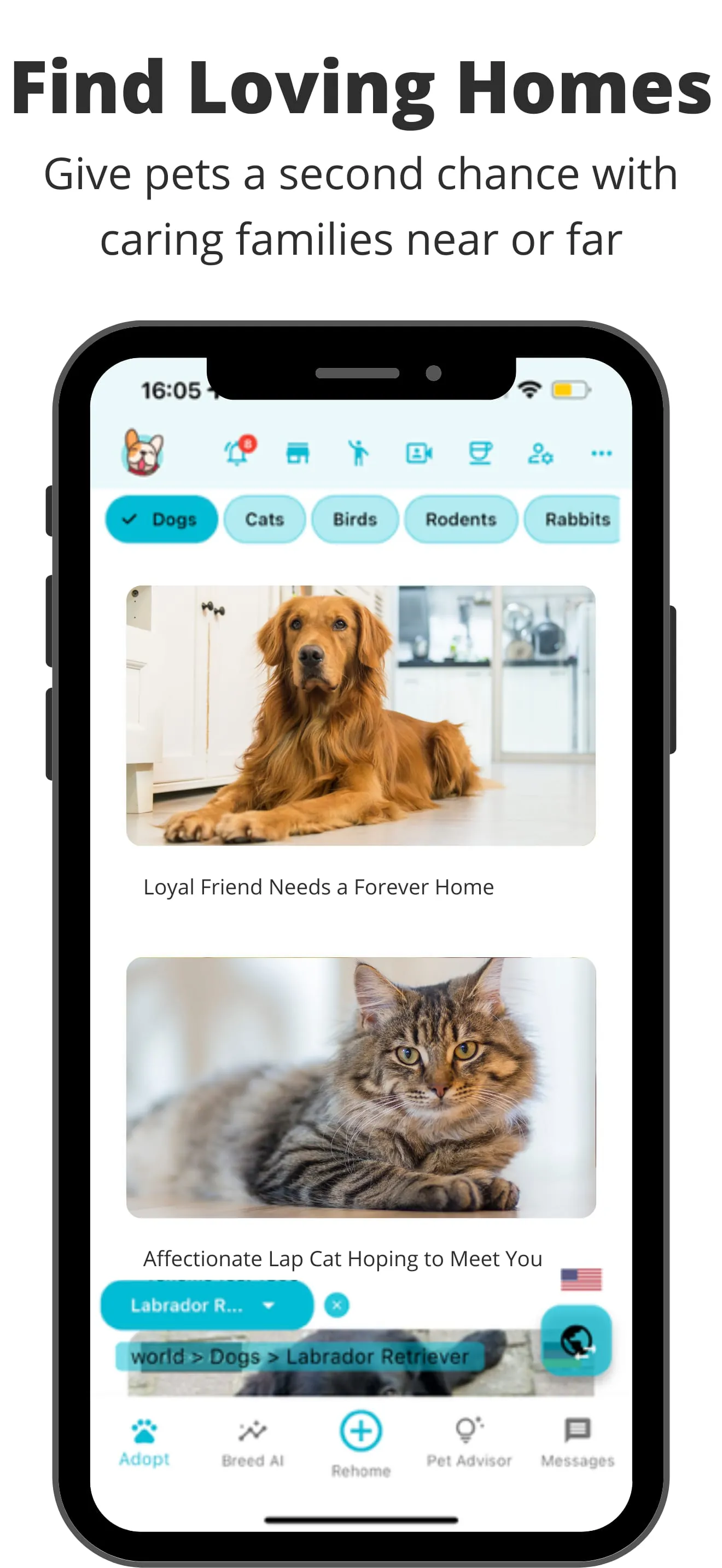 Pets Home