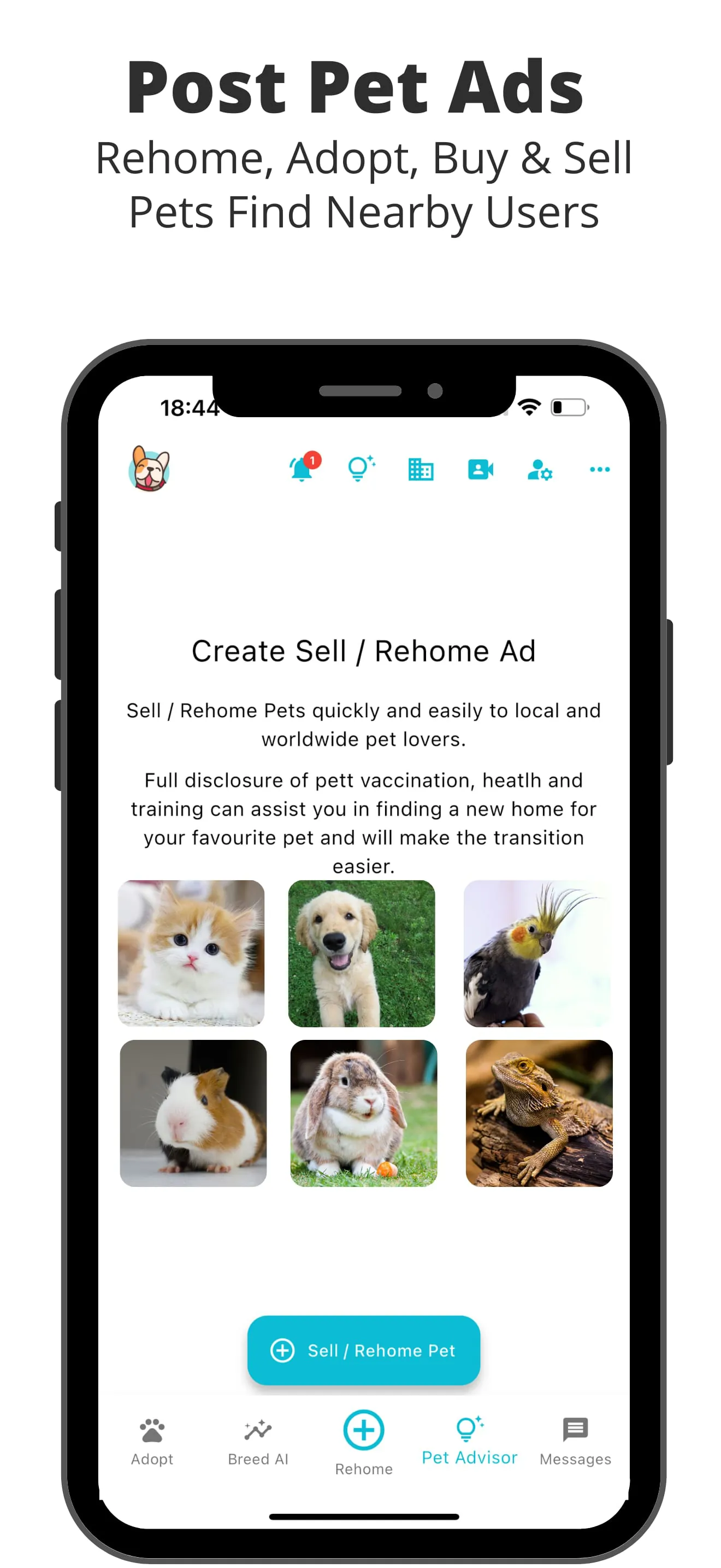 Pets Home