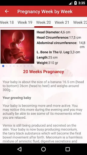 Pregnancy Day by Day