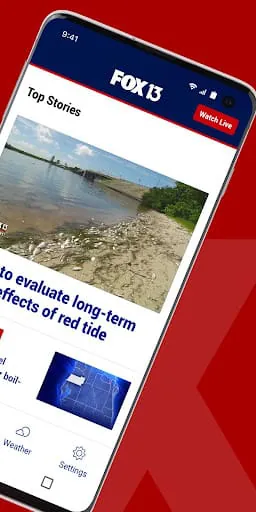 FOX 13 Tampa Bay