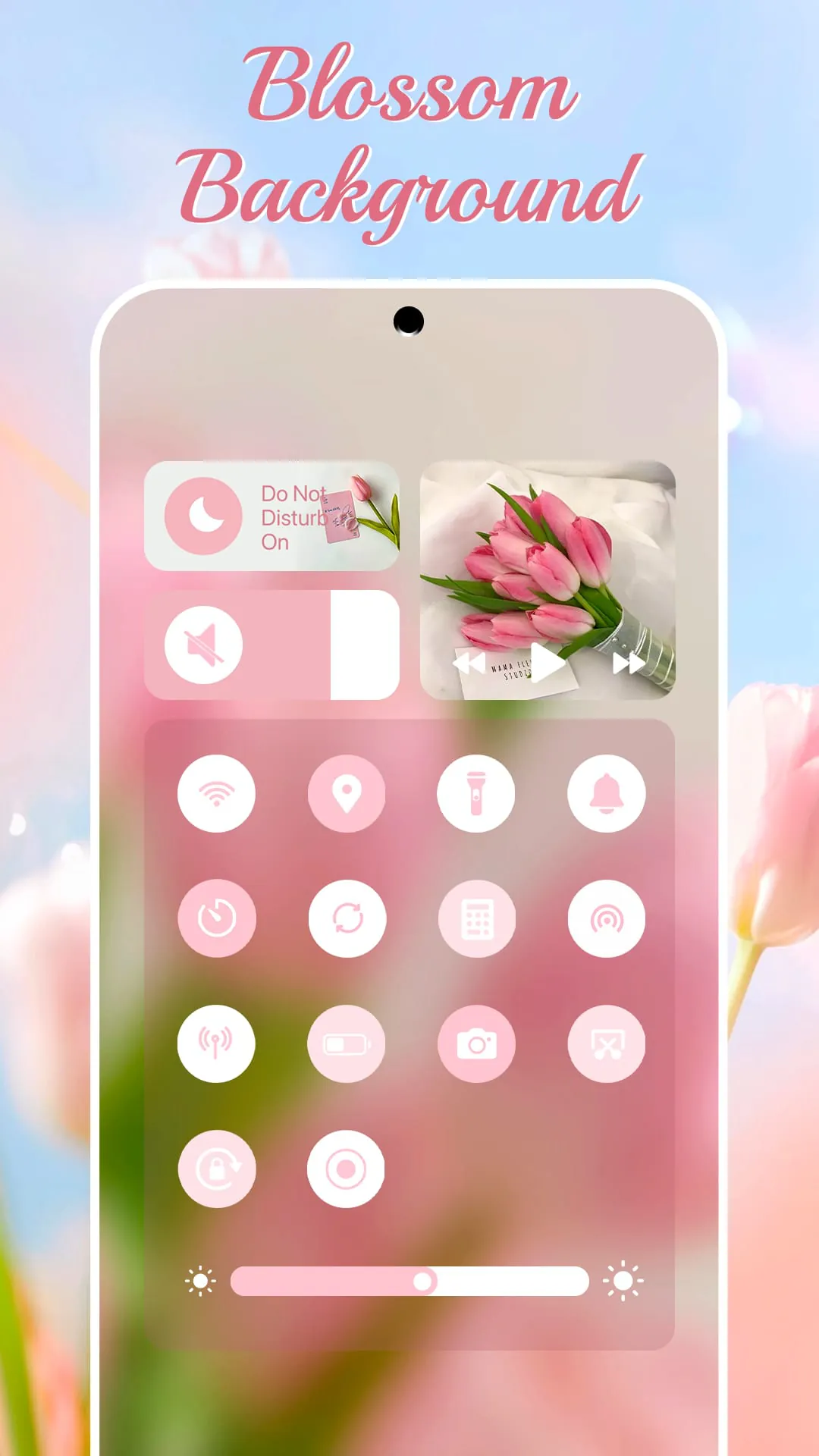 Control Widget