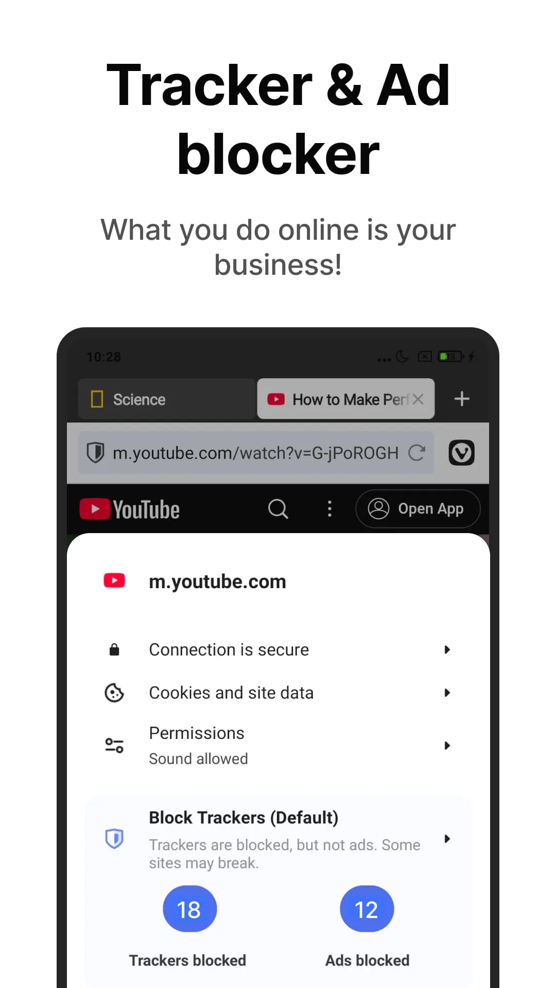 Vivaldi Browser