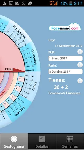 Pregnancy Weeks Calculator