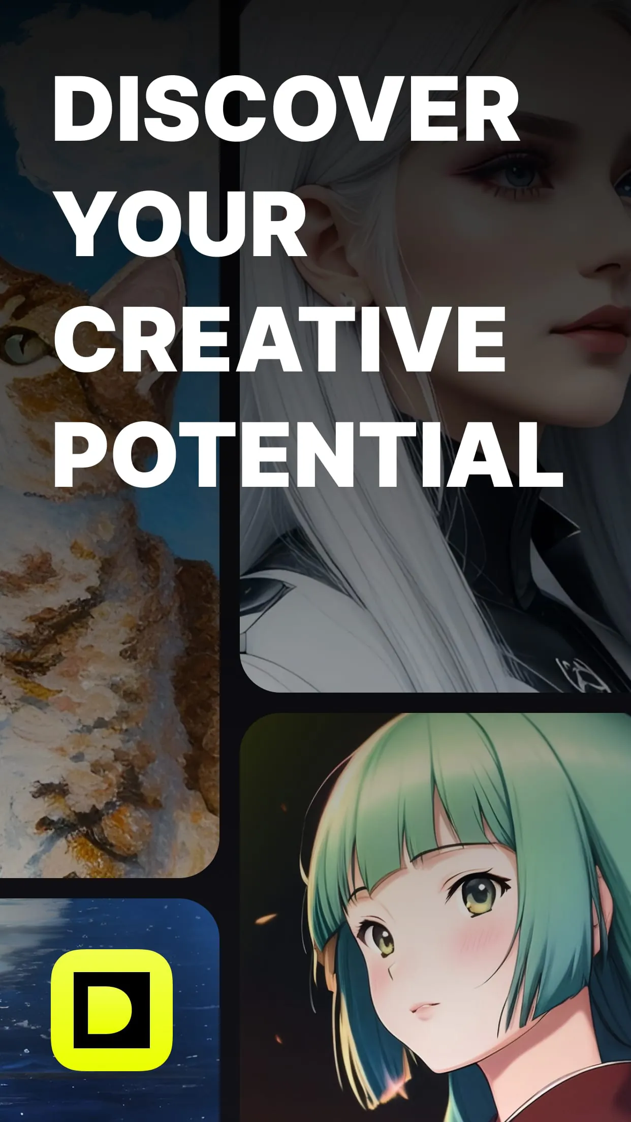 B^ DISCOVER