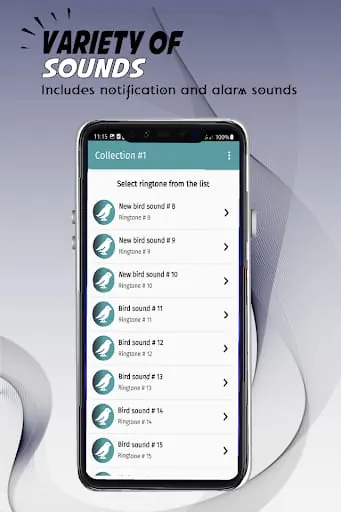 Birds ringtones
