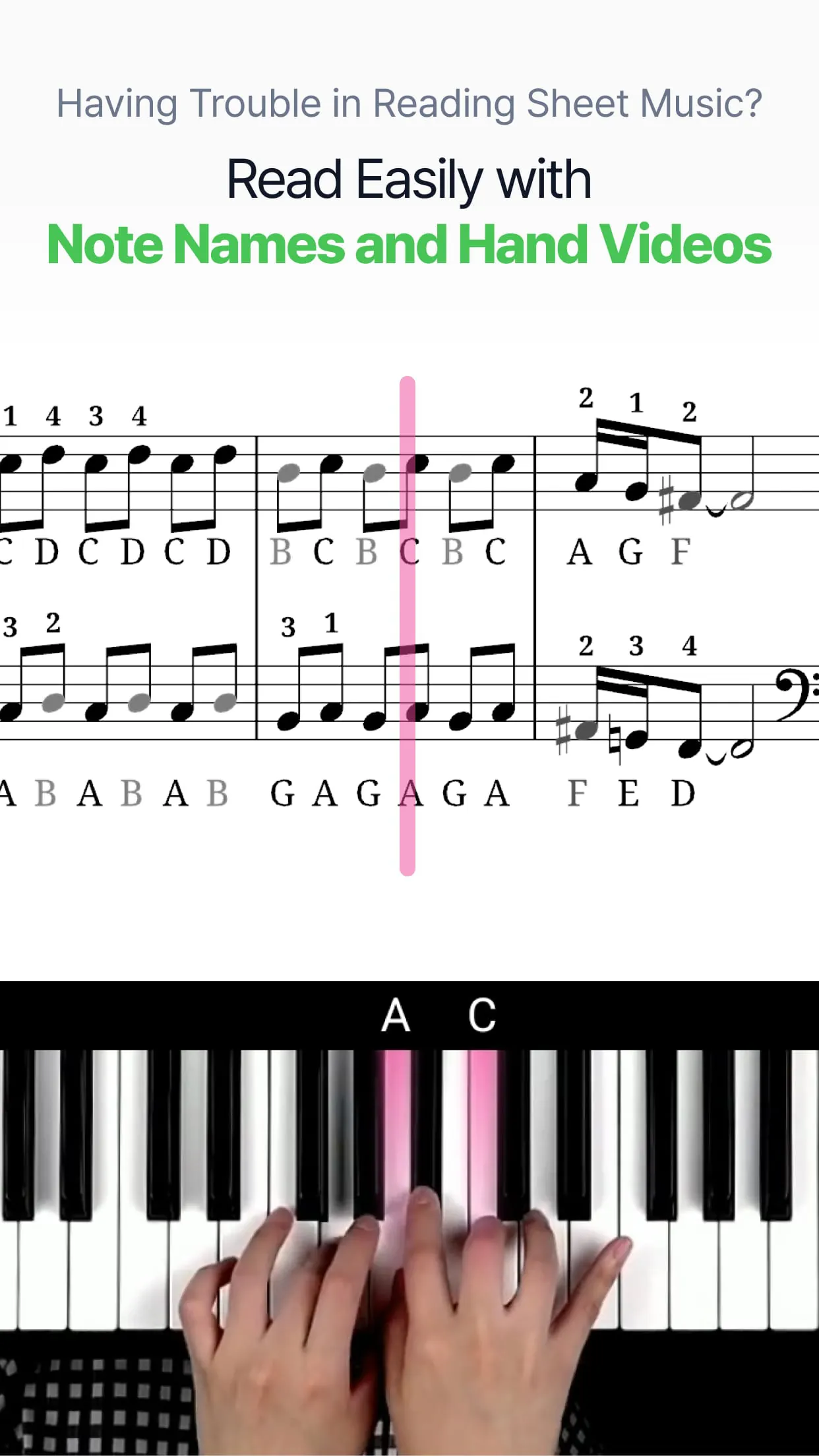 PianoKiwis