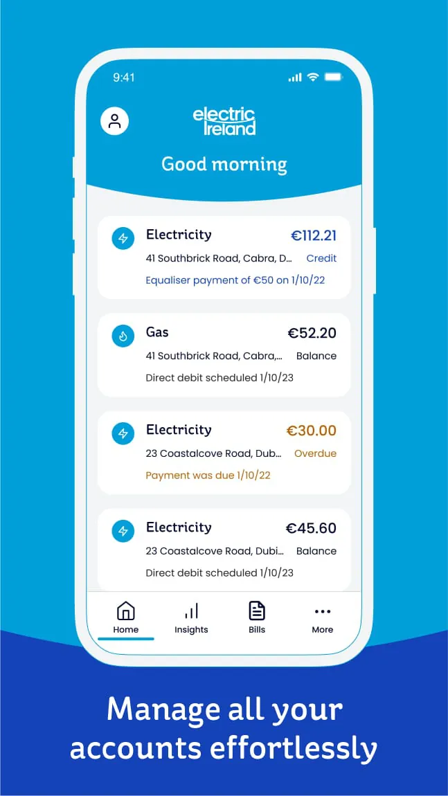 Electric Ireland