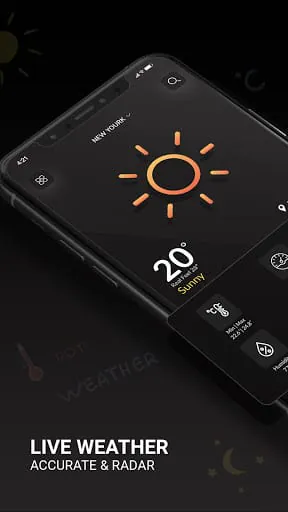 Dark Sky Weather