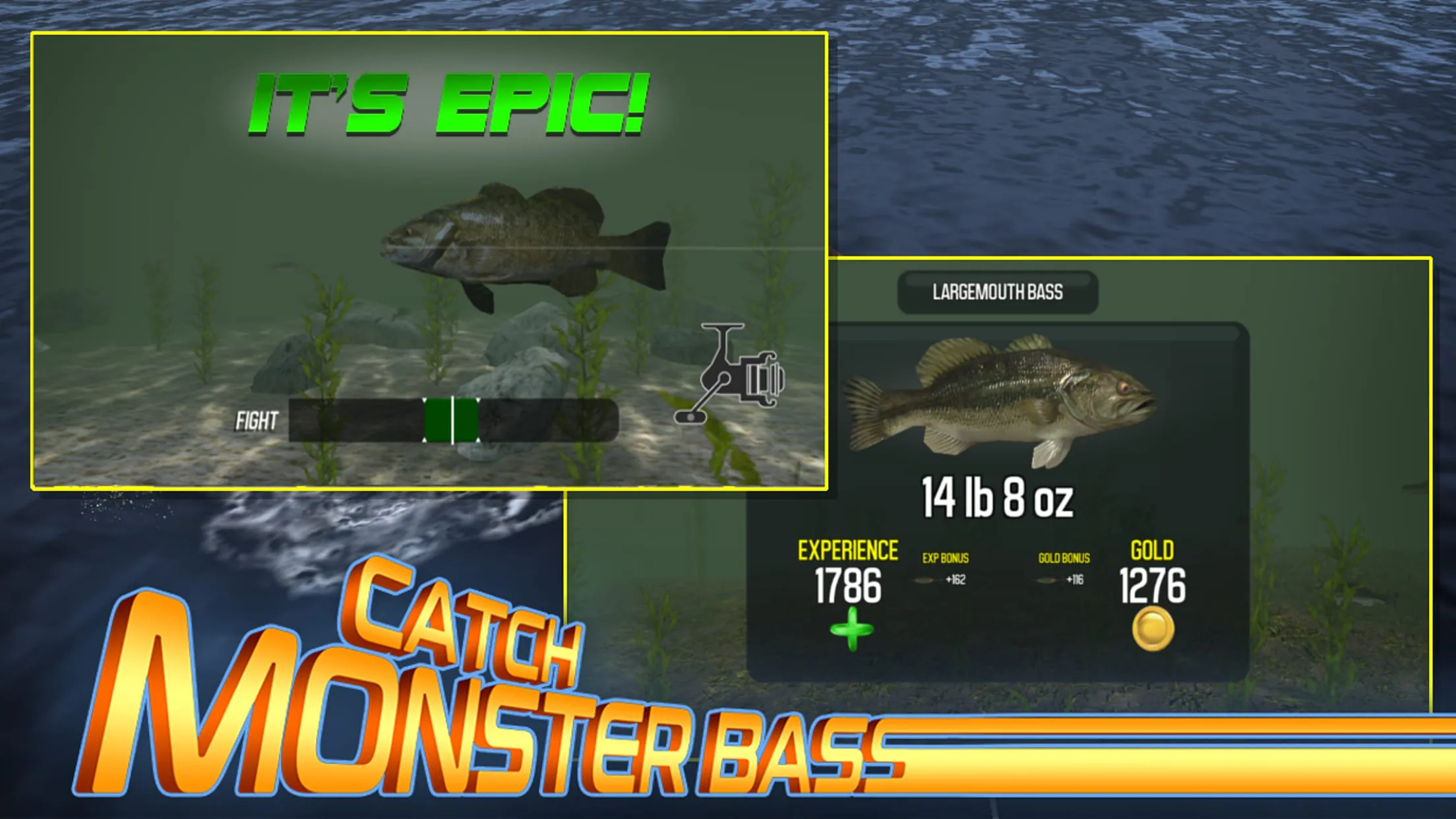 Master Bass