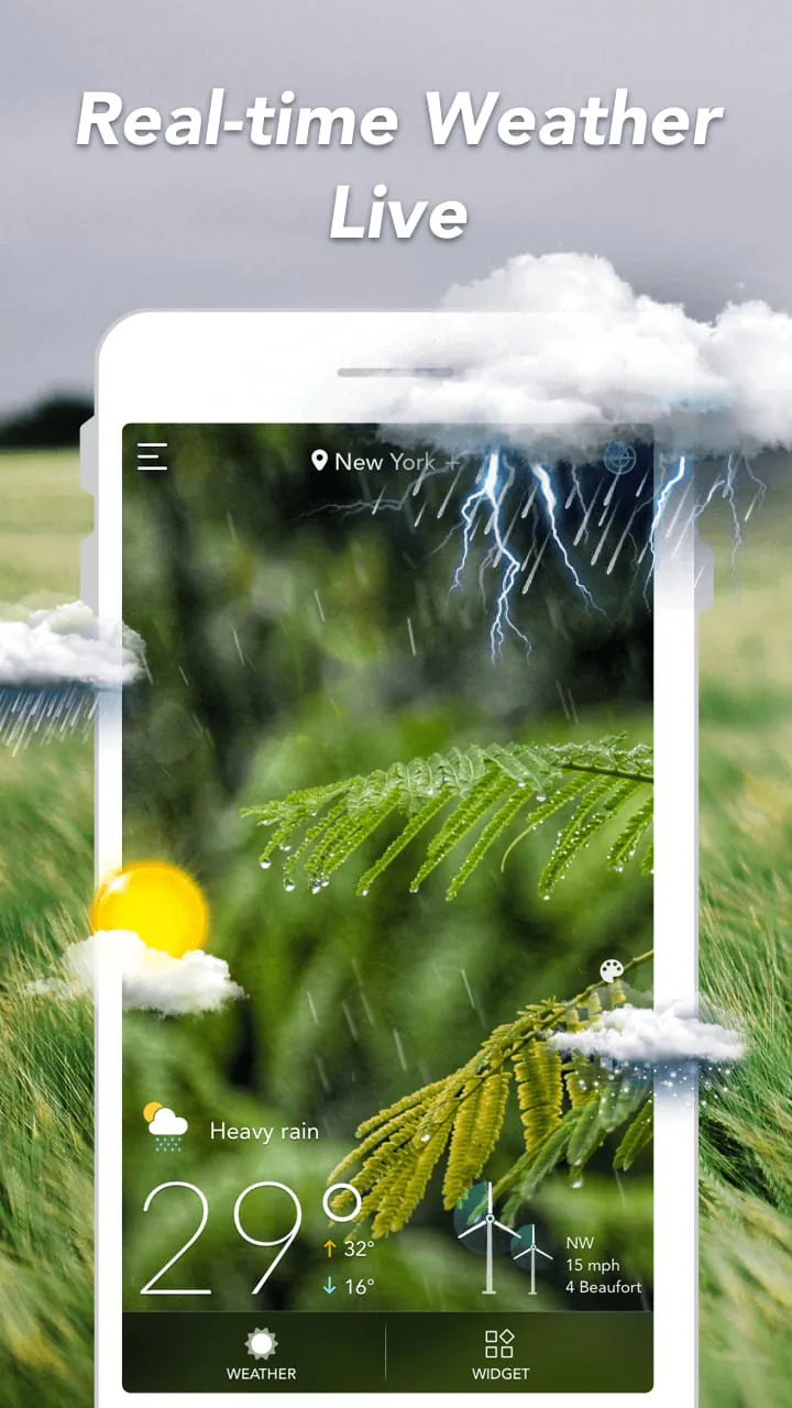 Weather Forecast