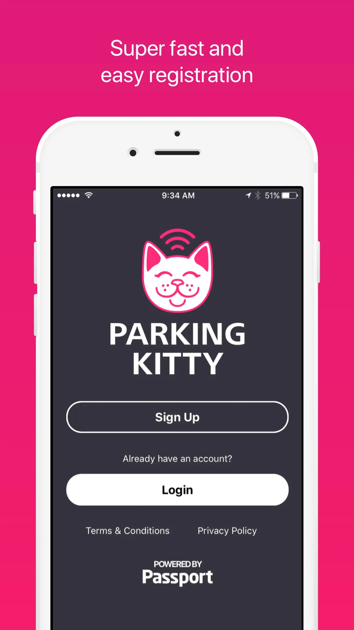 Parking Kitty