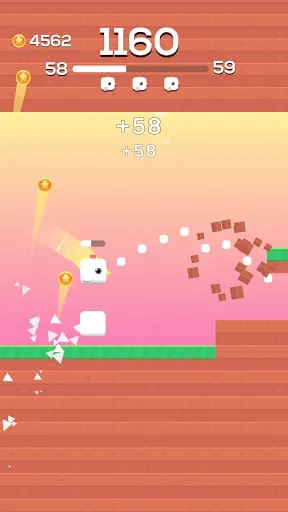 Square Bird