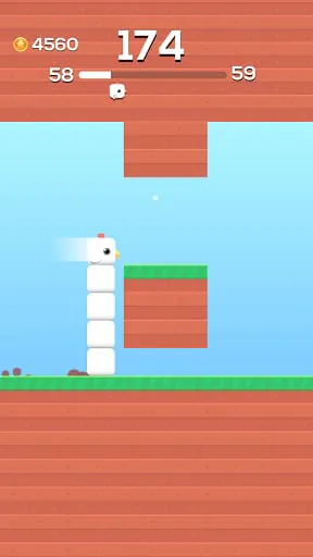 Square Bird