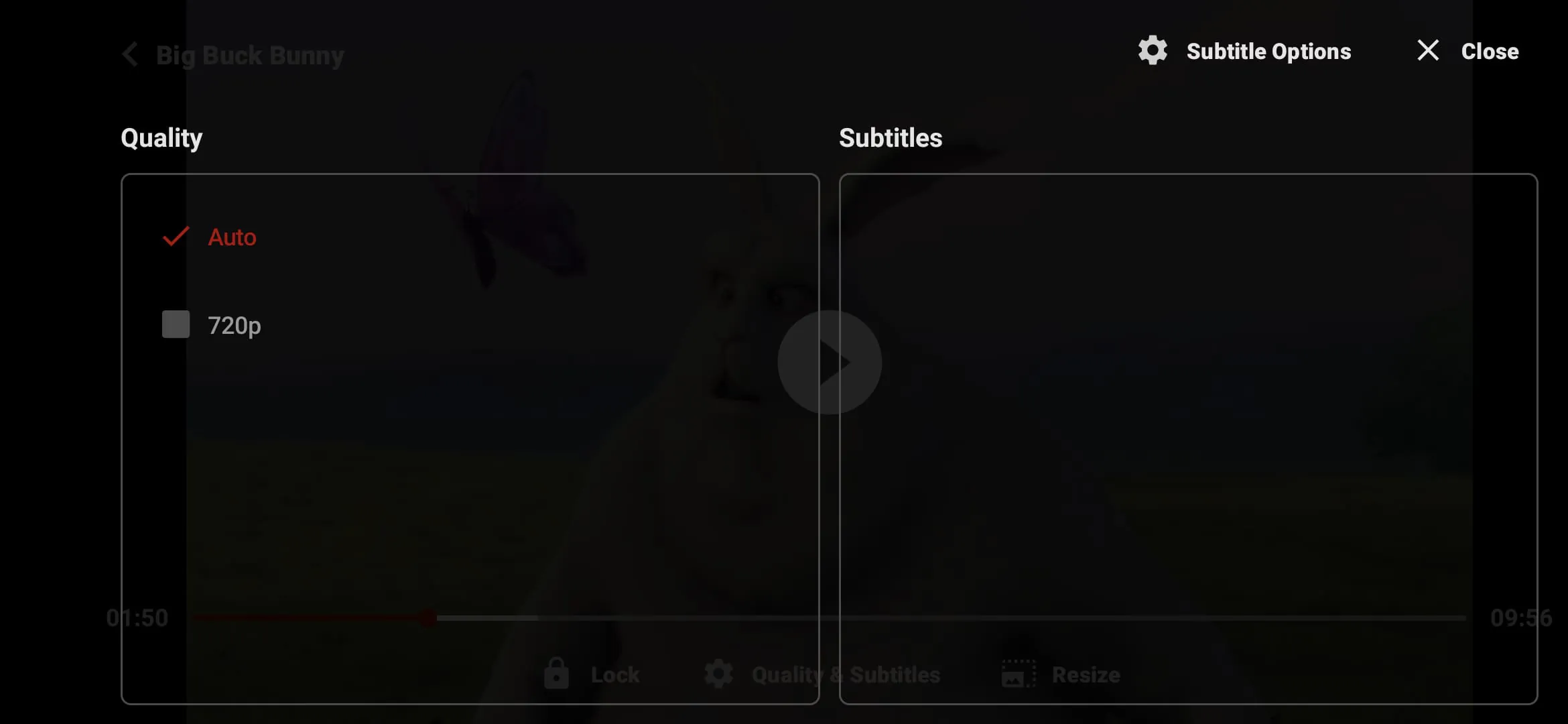 ZoZo Player
