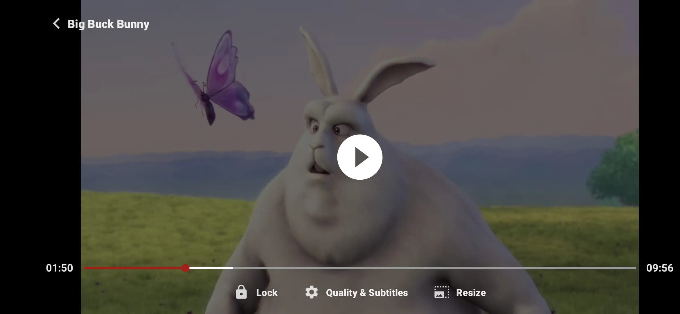 ZoZo Player