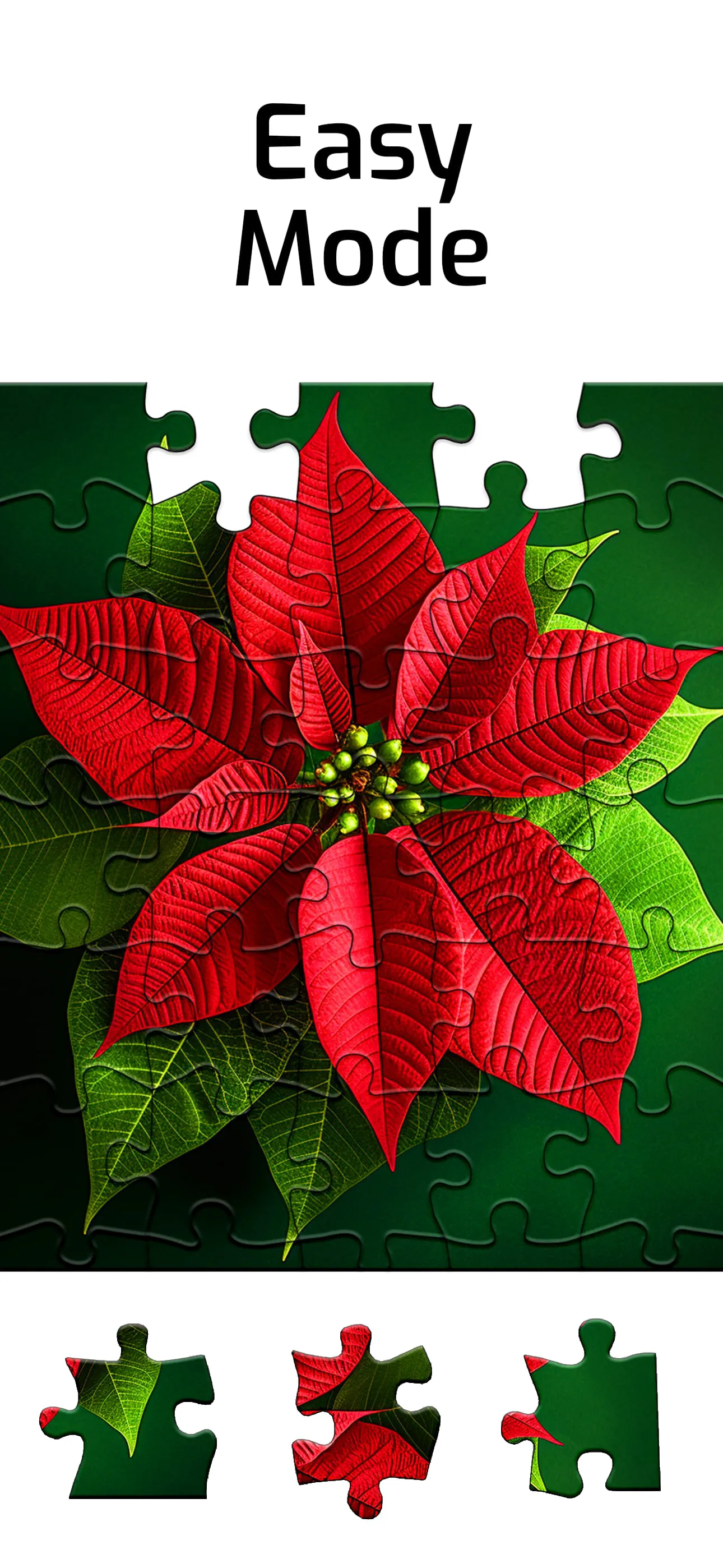 Puzzles for Seniors