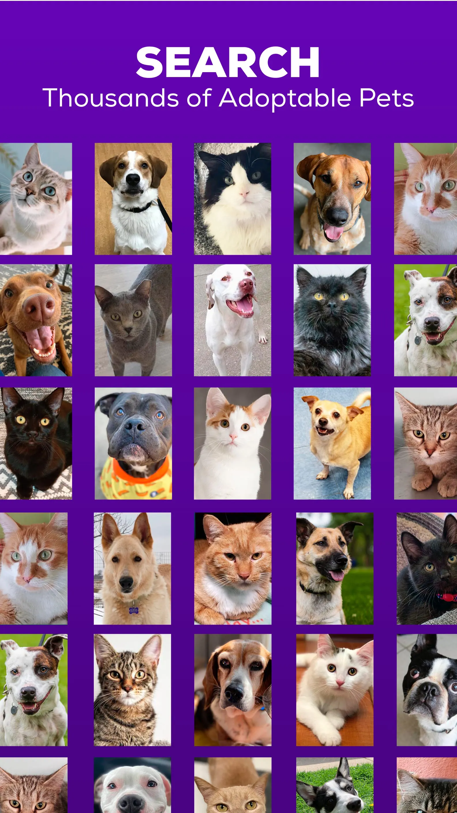 Petfinder