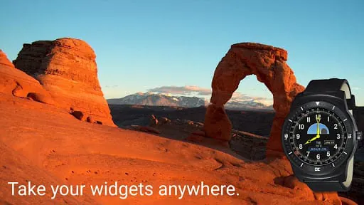 Wearable Widgets