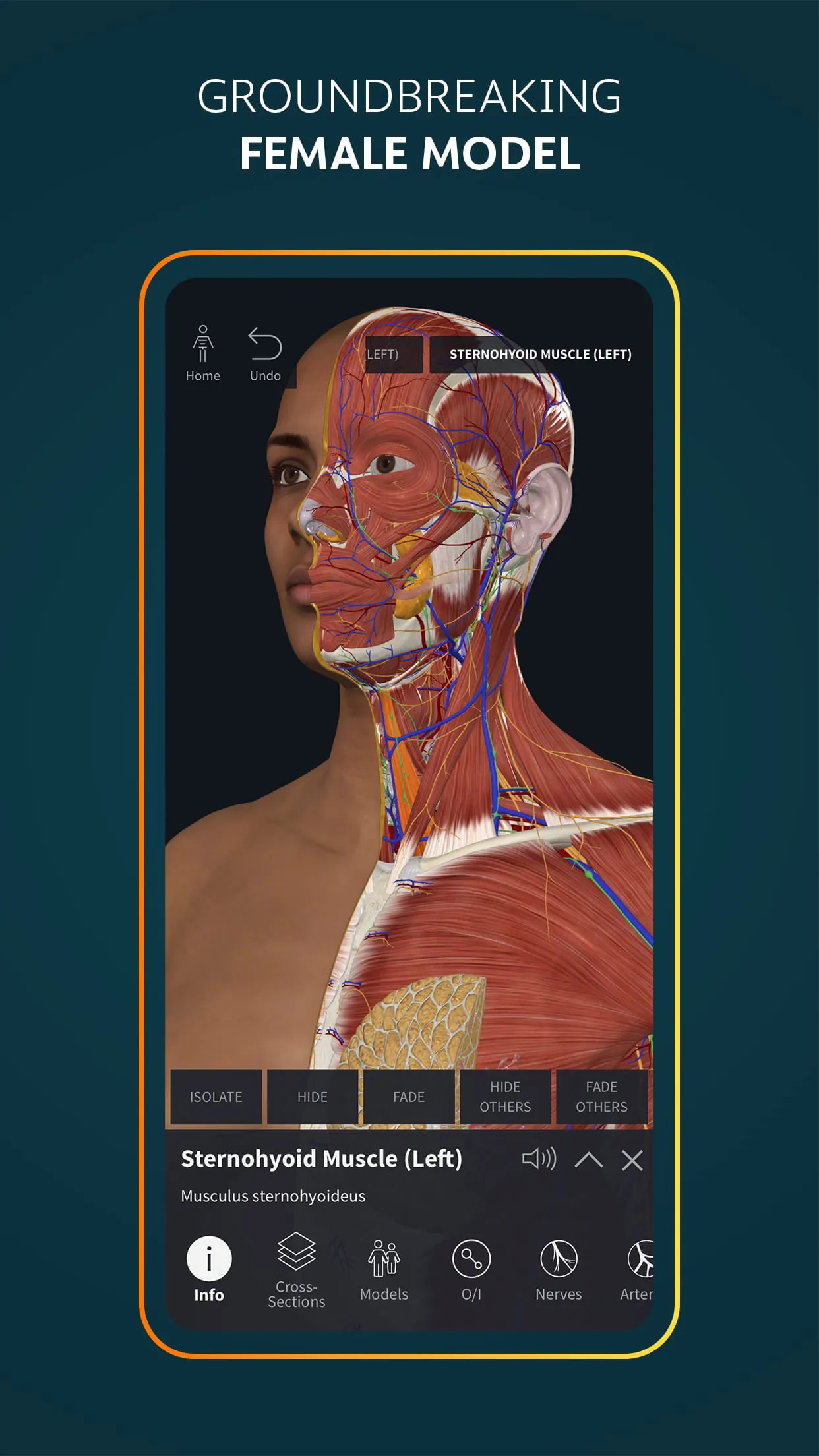 Complete Anatomy