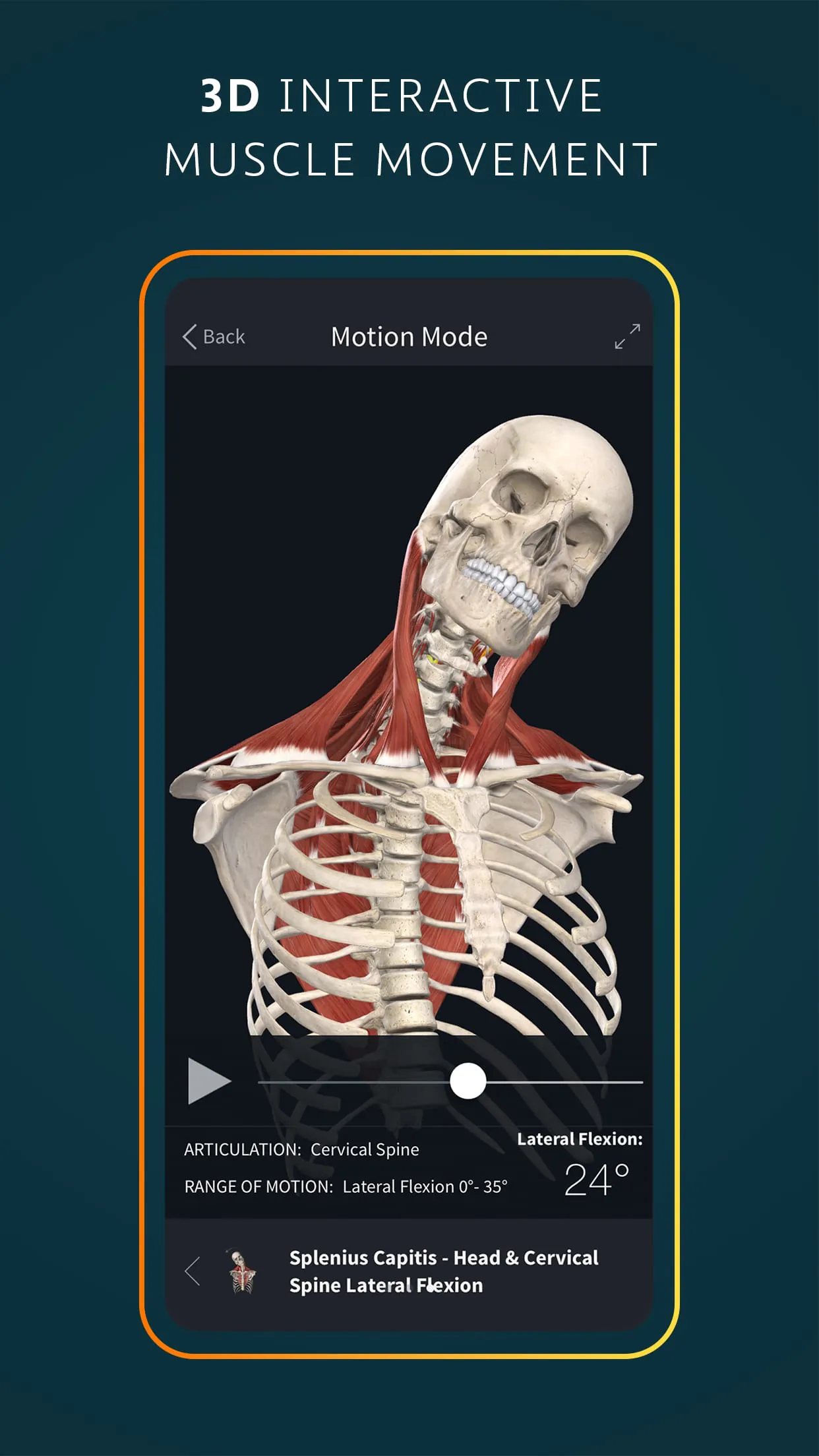 Complete Anatomy