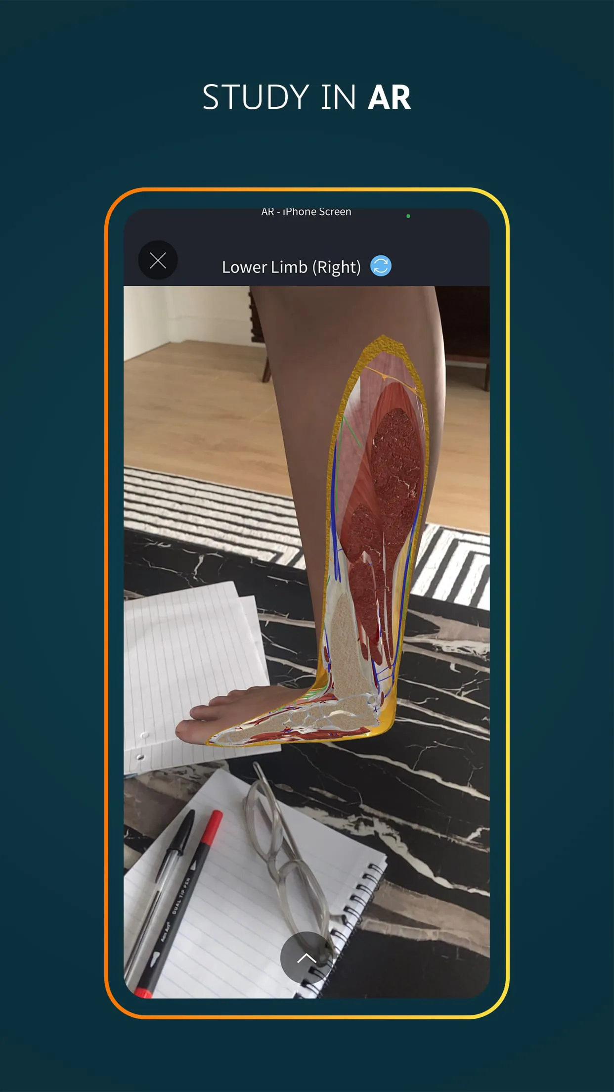 Complete Anatomy