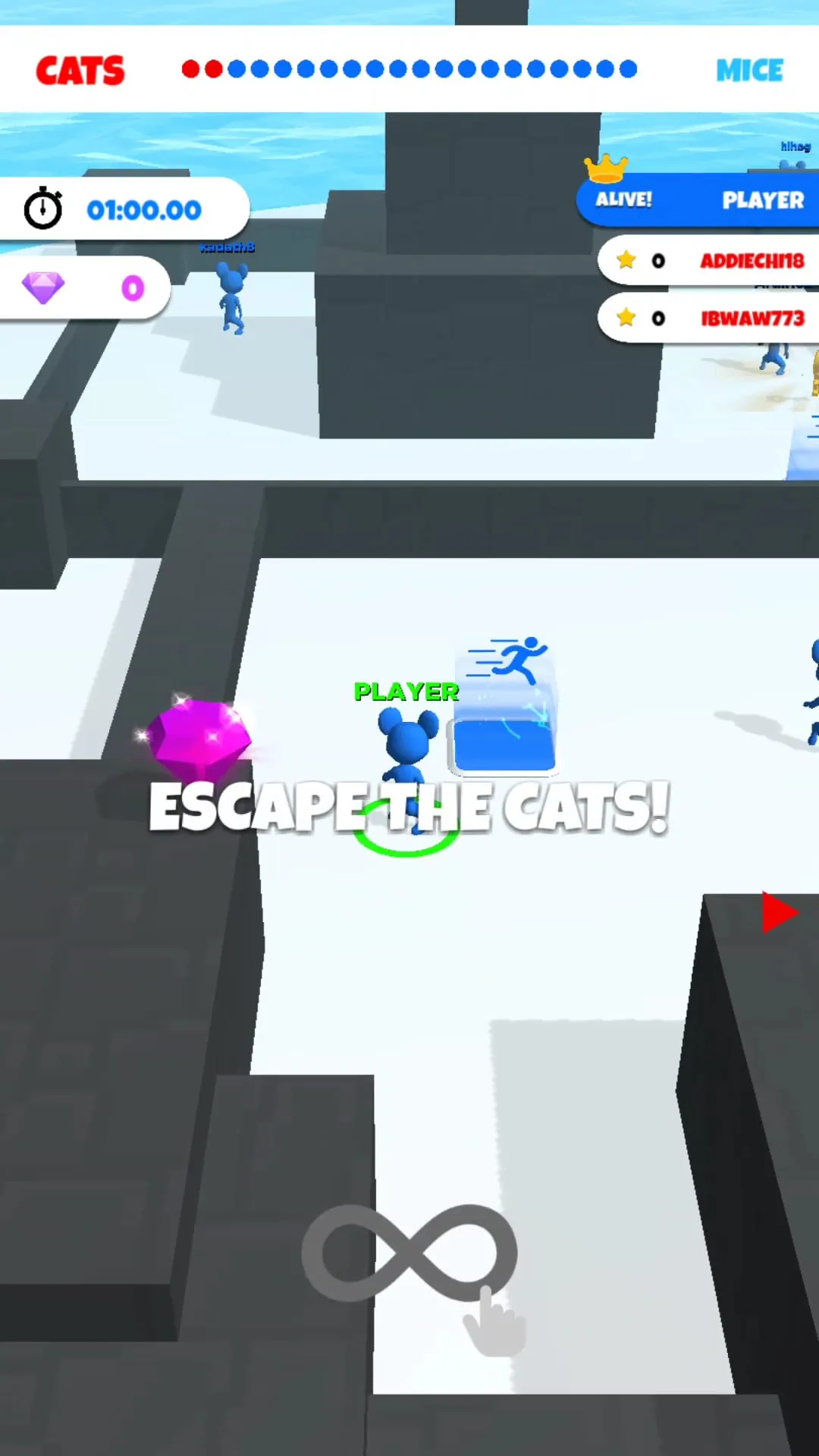 Cat & Mouse .io