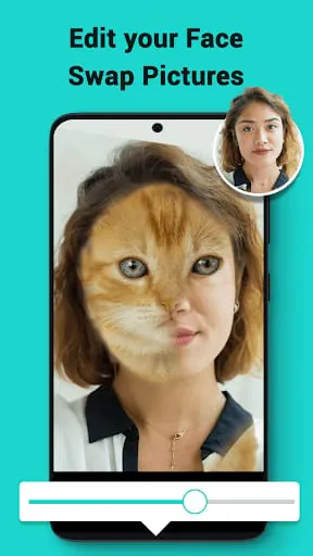 Face Swapper