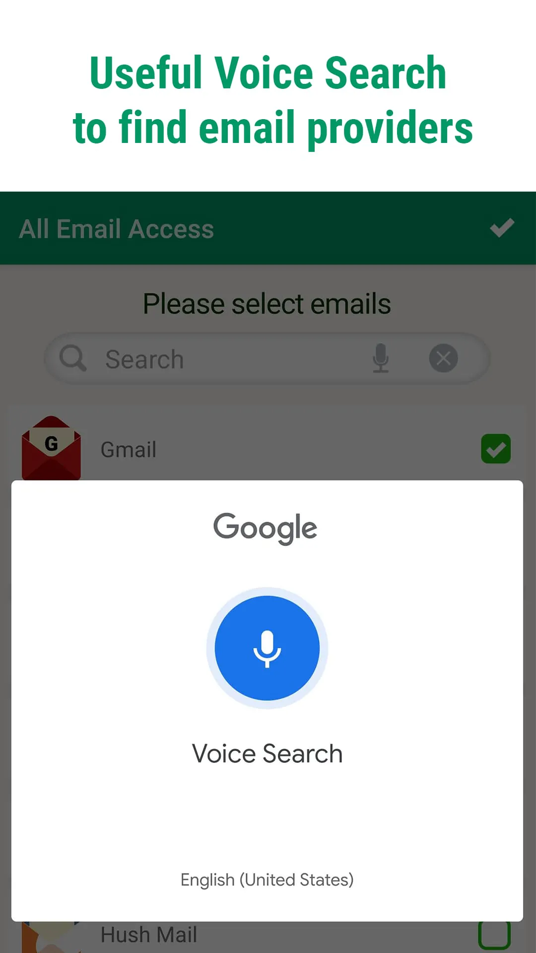 All Email Access