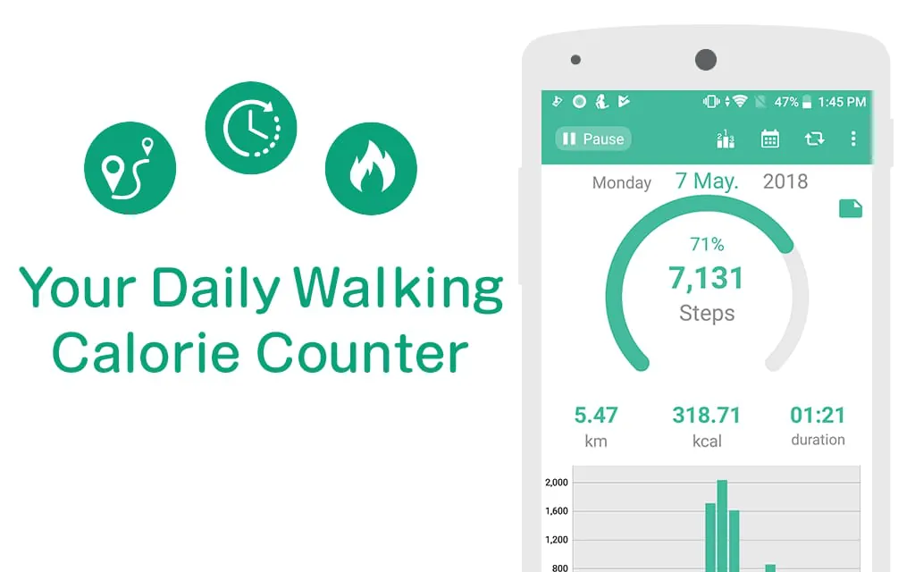 Pedometer