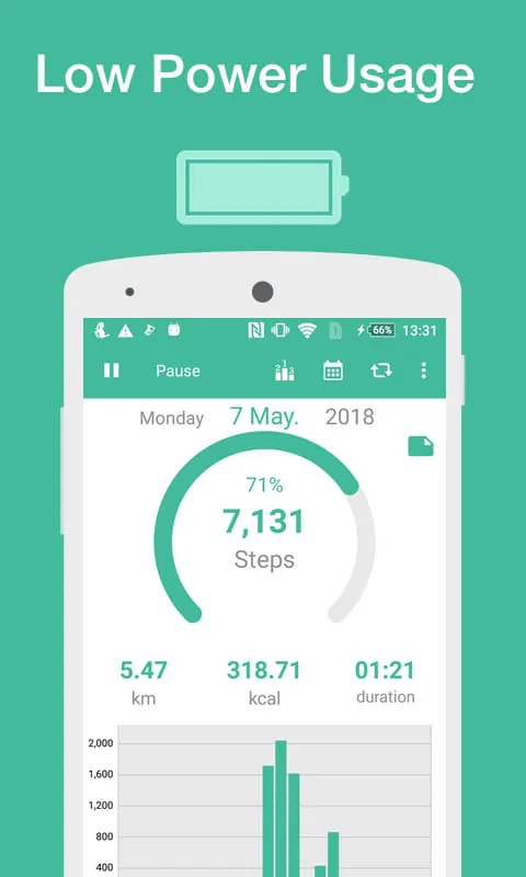 Pedometer